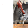 Kit asador motor 8kg sin bolso + Soportes de instalacíon. - Con Envío gratis!