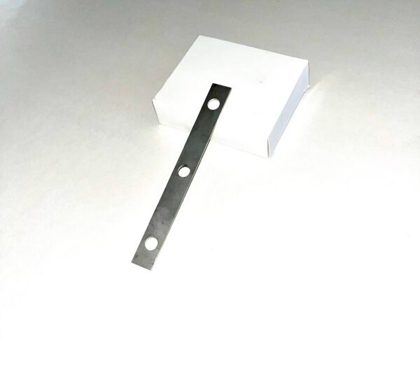 IMG_6662 Tridente Asador 1mt de acero inoxidable con pletina